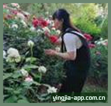 马总